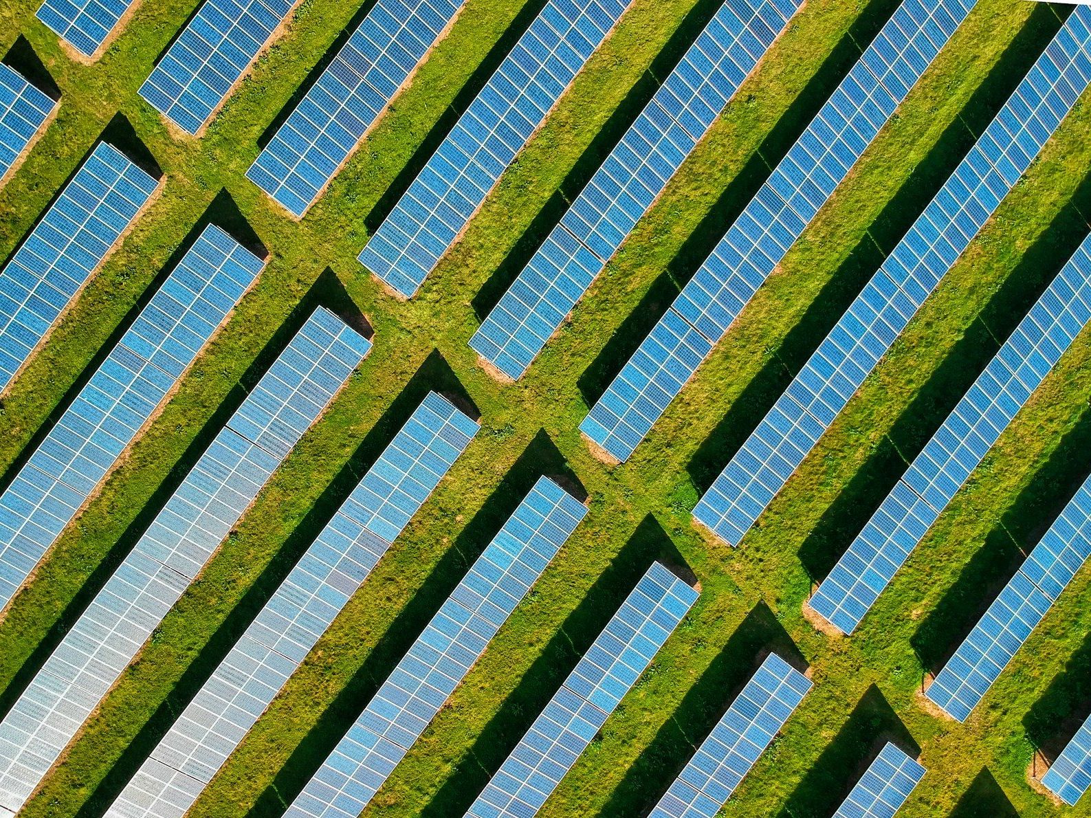 Photo by Red Zeppelin blue and white striped textile